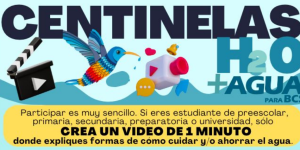 ¿TE GUSTARÍA SER UN CENTINELA DEL AGUA?