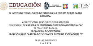 CONVOCATORIA PROMOCIÓN DE CATEGORÍA PROFESOR(A) DE CARRERA DE ENSEÑANZA SUPERIOR ASOCIADO(A) «B»